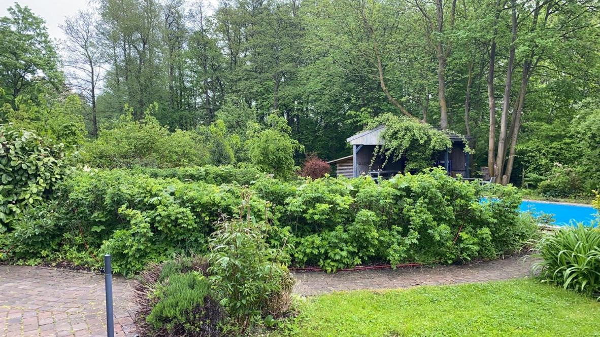 Haus West Villa Mechelsdorf Dış mekan fotoğraf